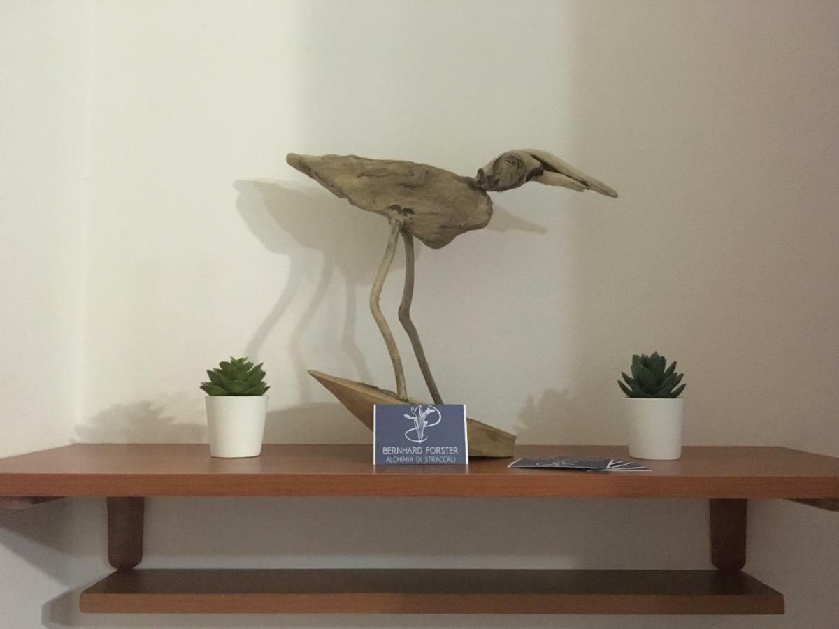 Il Mio Piccolo Angolo Di Mare Apartment Виареджо Екстериор снимка